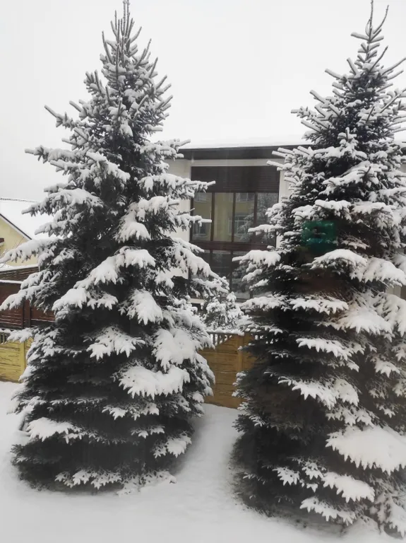 Dolce Vita апартаменты у озера с камином в 15 минутах от центра на автомобиле