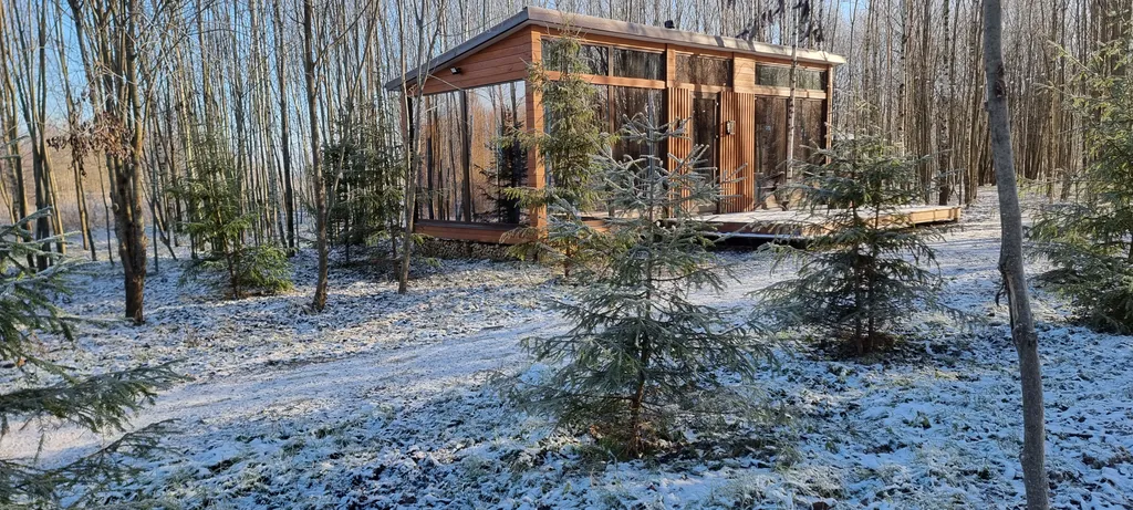 Стеклянный дом в лесу