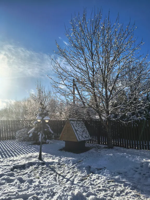 Русская усадьба с баней со швейцарским флёром