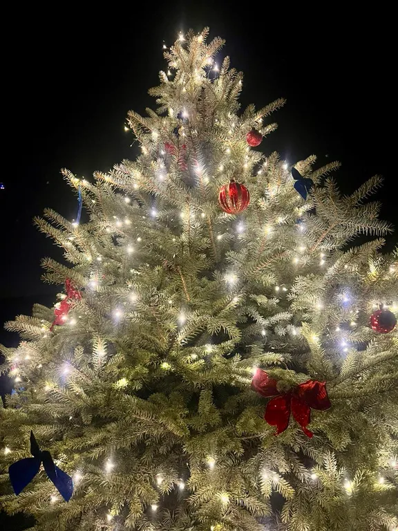 Дом с красивой костровой зоной