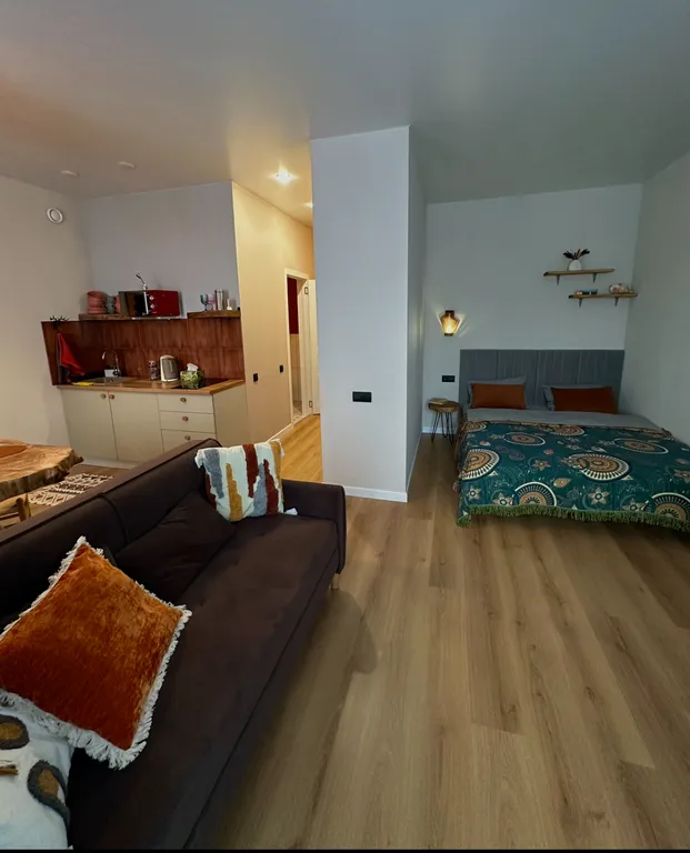 Стильная квартира-студия в центре города