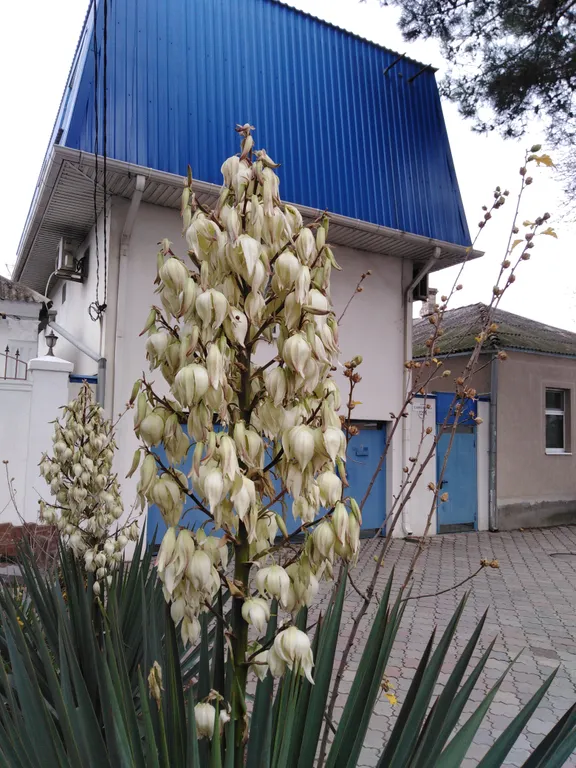 Квартира Апартаменты с отдельным входом — Анапа