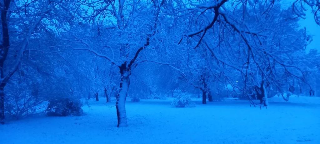Дом старого художника в Севастополе