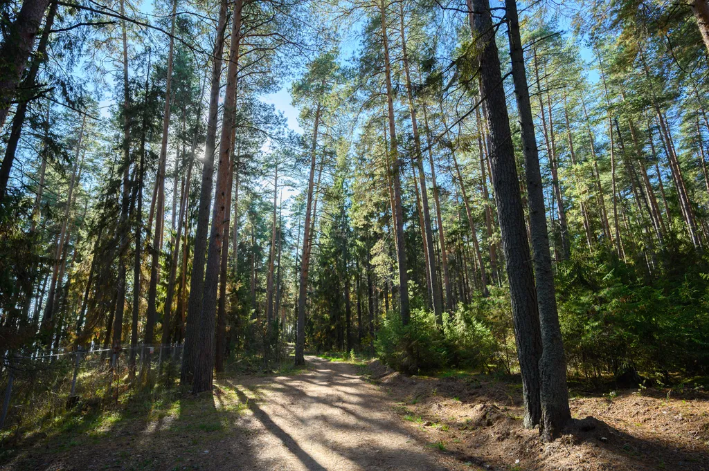 Гостевой дом у Речного Плёса