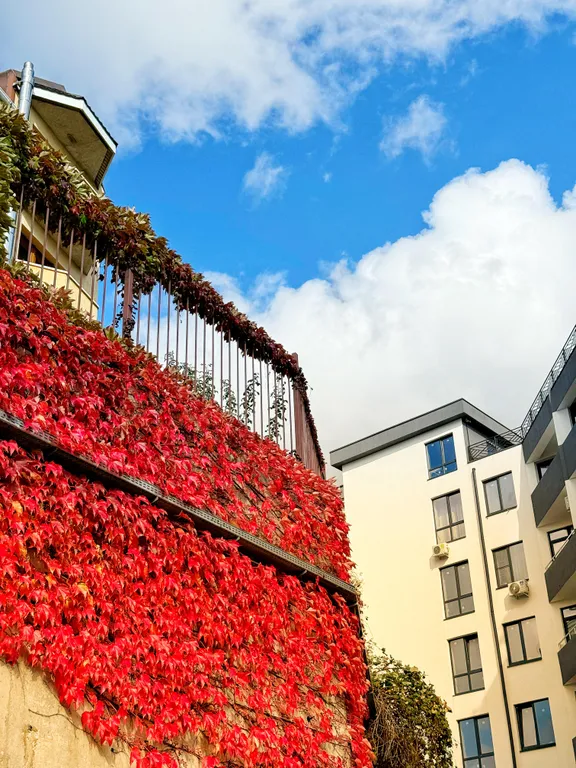 Апартаменты с видом на море 3 минуты до пляжа