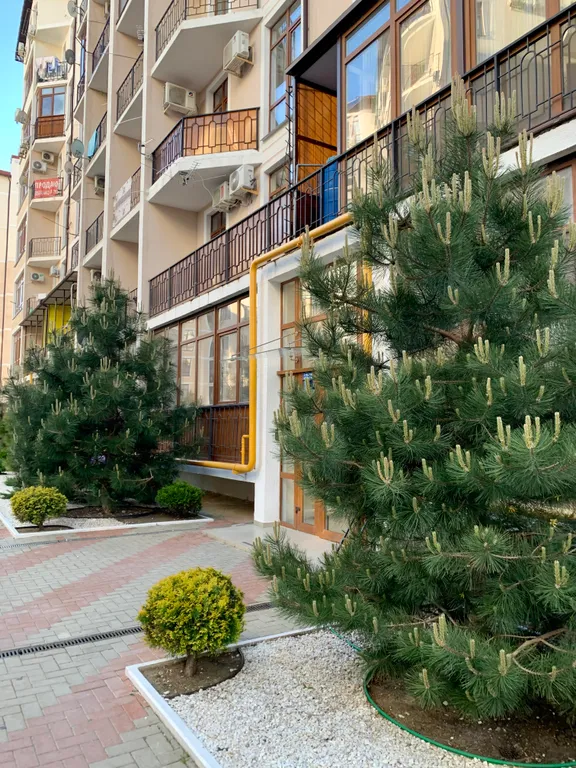 Квартира Квартира Евродвушка в двух шагах от лазурных волн — Геленджик