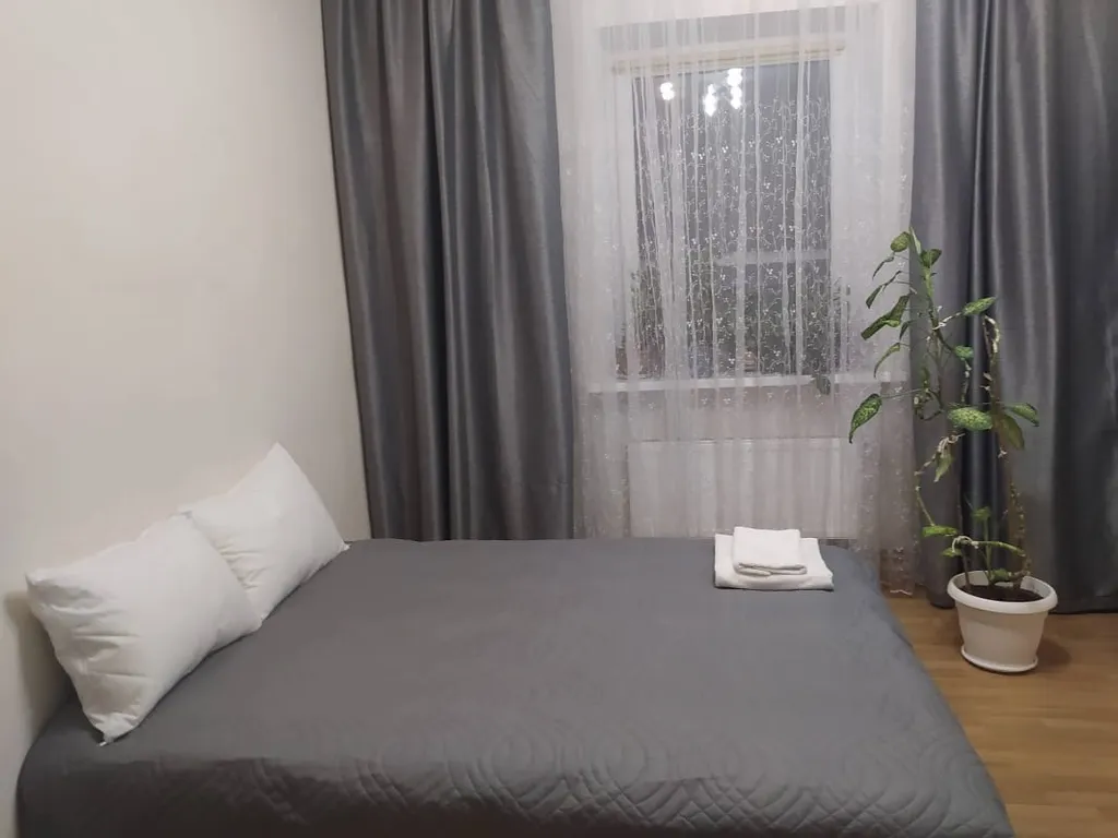 Квартира Апартаменты с парковочным местом и барбекю в самом центре — аренда посуточно в Калининград