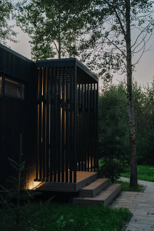 Умный дом с сауной и купелью