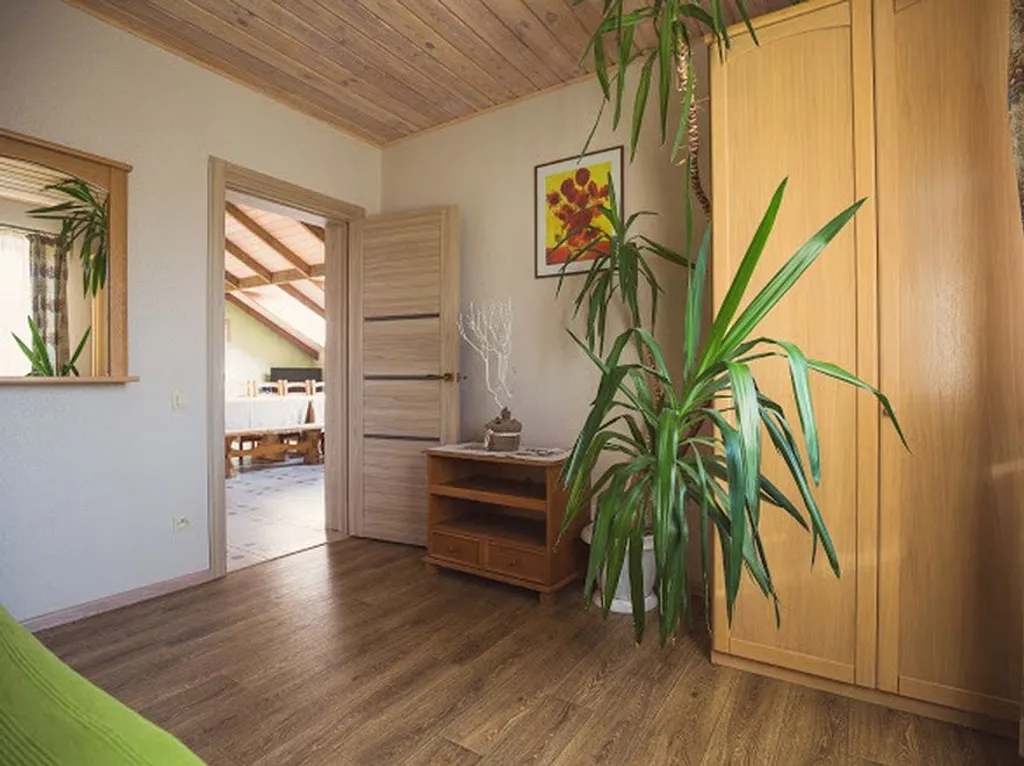 Шале под Минском