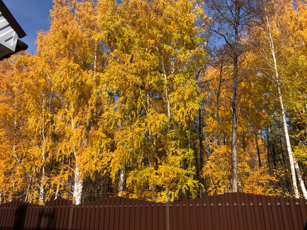 Двухэтажное Бунгало с видом на лес