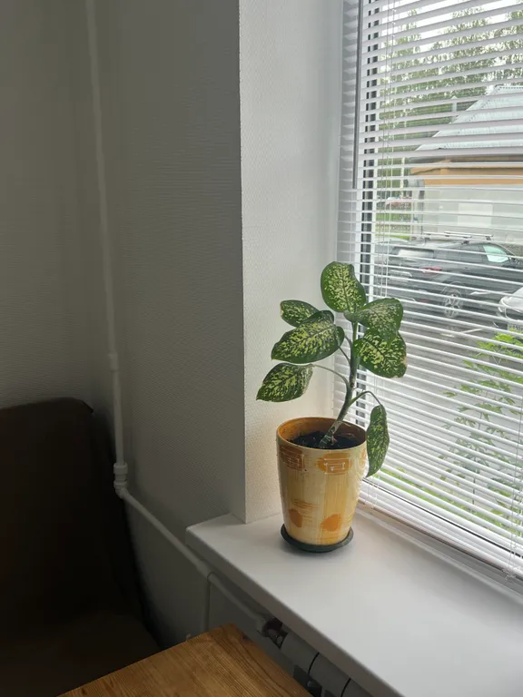 Апартаменты 2/2