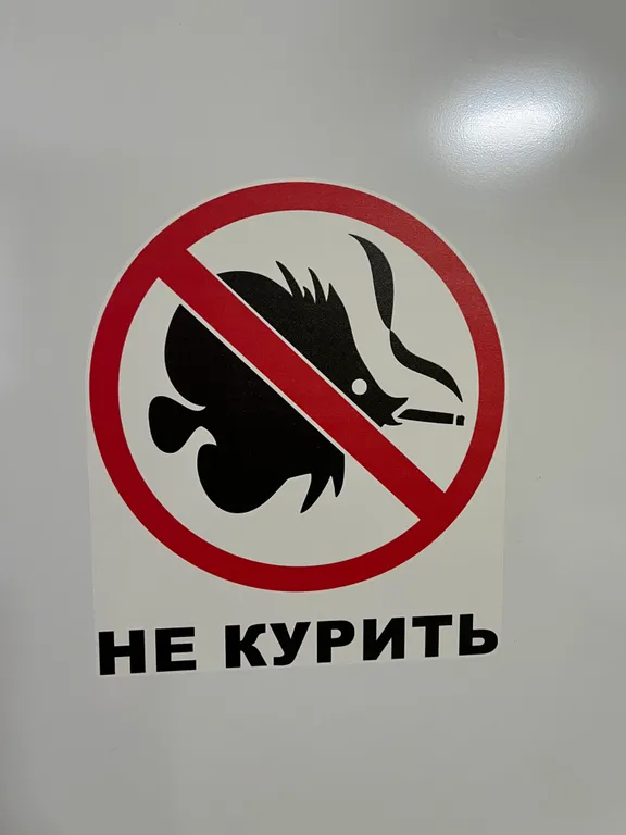 Тропическая квартира в центре города