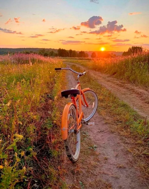 Домик в лесу с пятнистыми оленями и кроликами