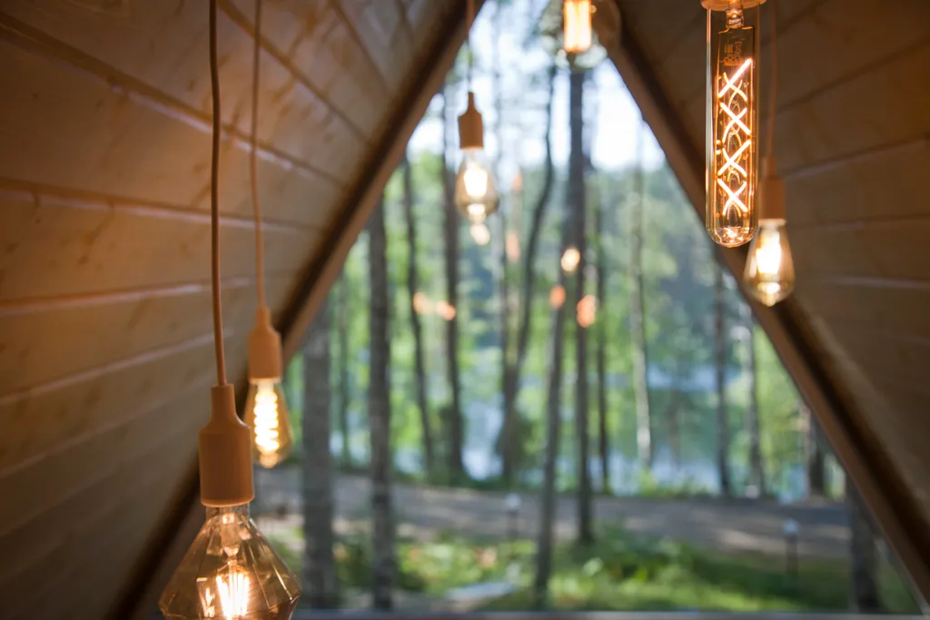 Руна Леса Карелия