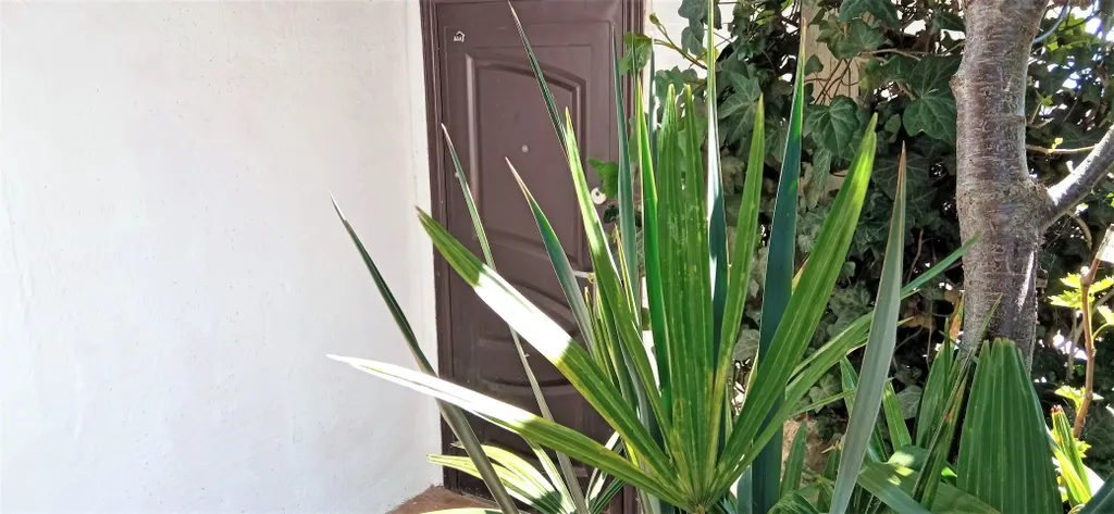 Квартира с видом на море для семьи в 5-6 минутах от пляжа