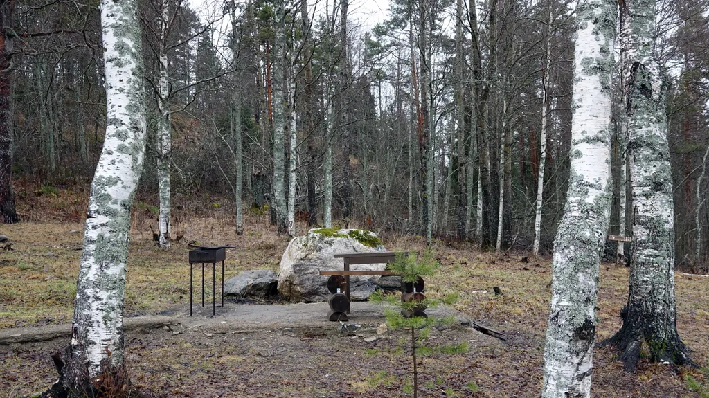 Фиалковый дом на Ладоге