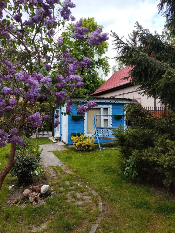 Квартира Уютные апартаменты в центре города — Светлогорск