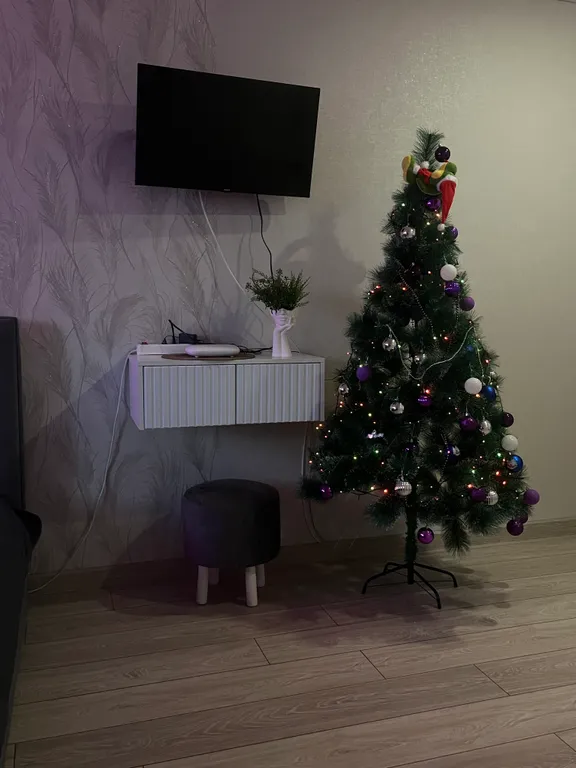 Уютная студия в новом доме