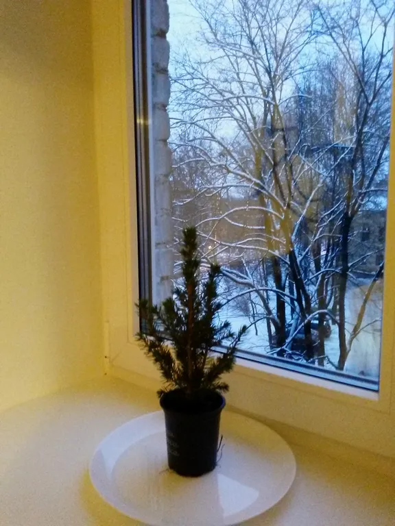 250 метров от Кремля