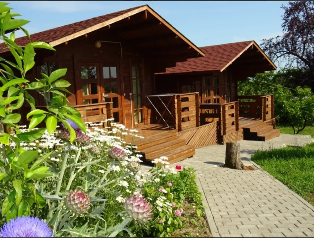 Никопсия - коттеджные домики — аренда посуточно в Псырцха