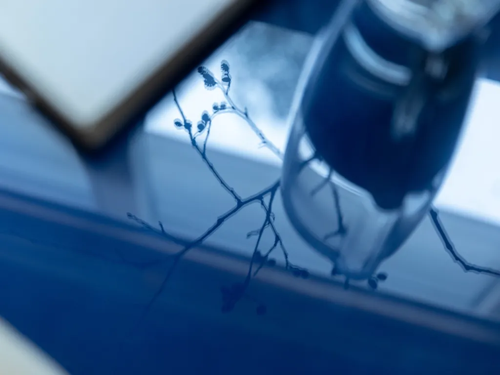 Дом 70 м² с сауной у Финского залива • Зеленогорск