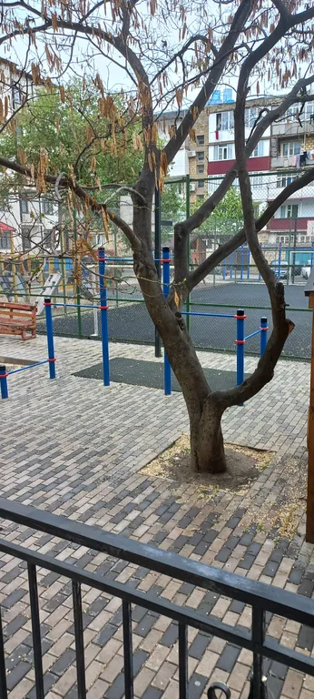 Новая квартира в центре города