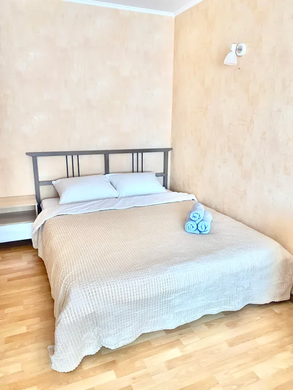 1-комнатная Квартира — аренда посуточно в Троицк