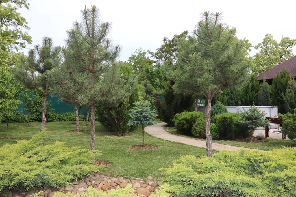 Загородный дом-шале "Pinebrook", аренда, у реки Дон. Сезонный бассейн.