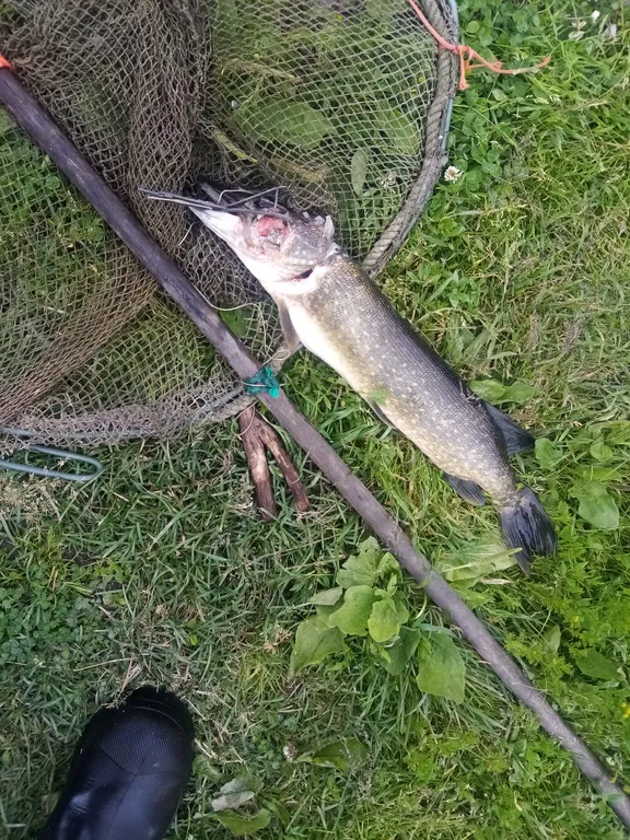Домик с отдельным входом и красивым видом из окна со всеми удобствами