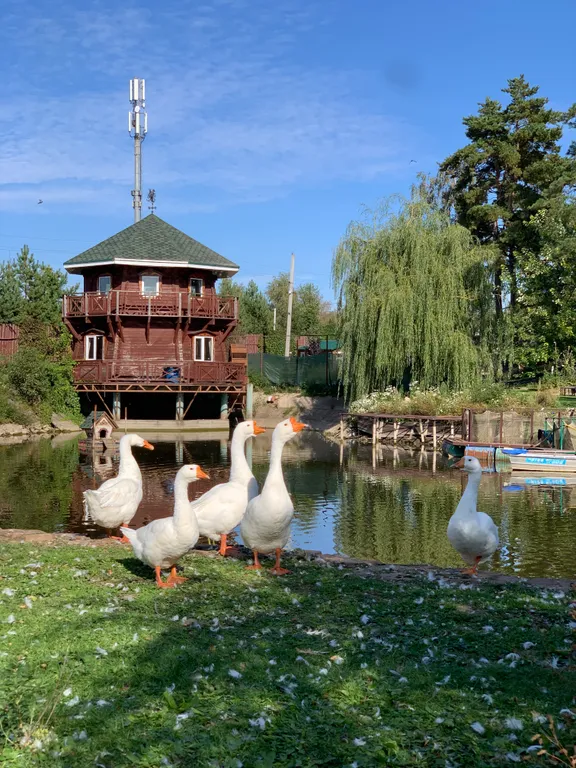 Дом у пруда