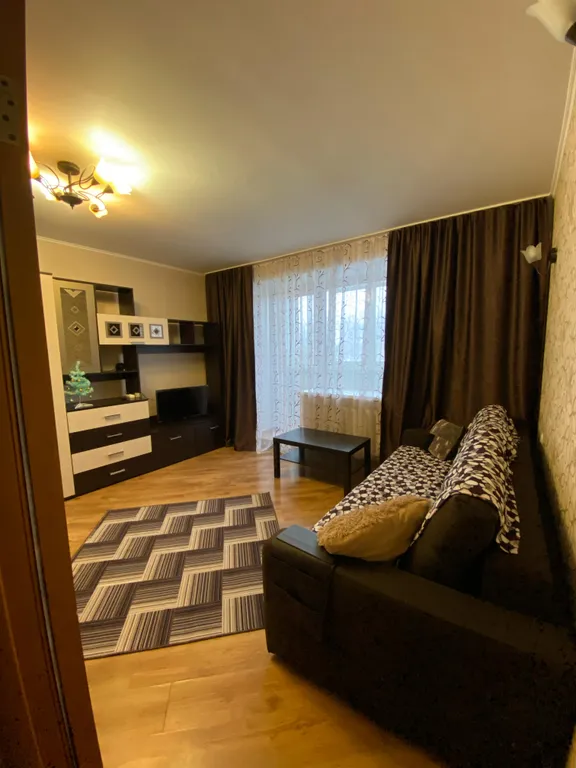 Уютная однокомнатная квартира в центре города