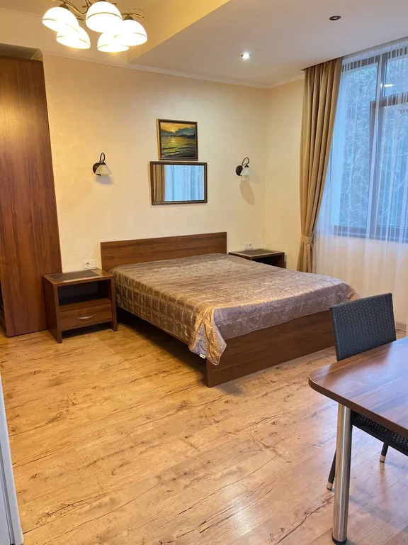 Студия с видом на горы