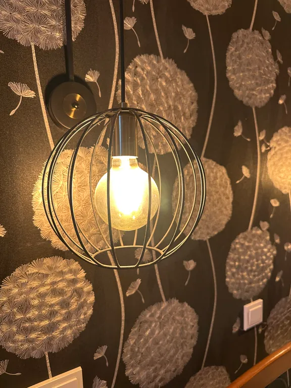 Одуванчики