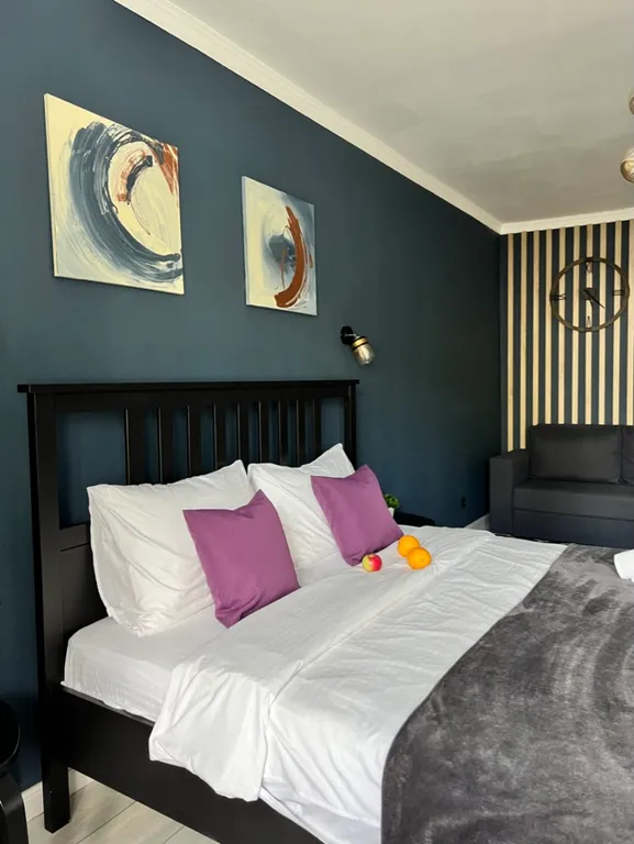 Удалённый check-in, электронный замок, центр, netflix + megogo