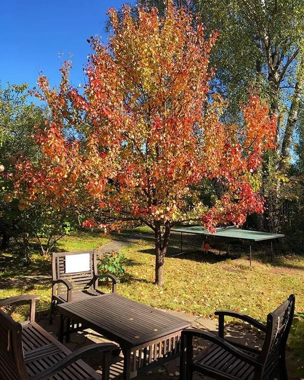 Коттедж Домик у леса с баней на дровах — Алексино