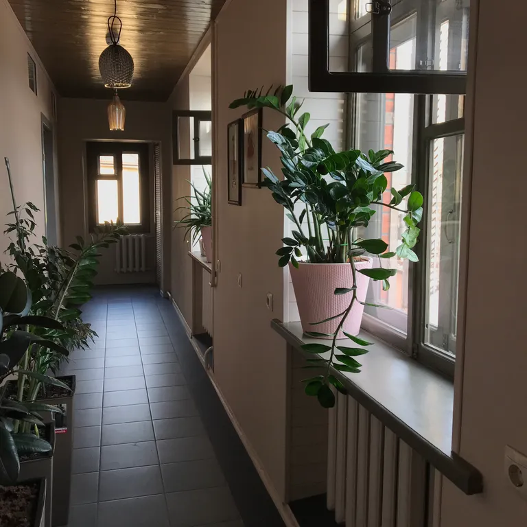 Шикарные апартаменты Фриды Кало в самом центре