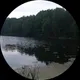 Элеонора