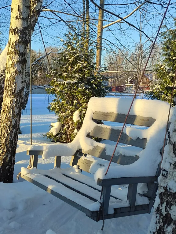 Чудо-дача, дом Акула на берегу пруда