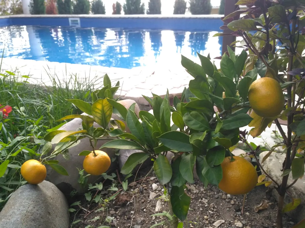 Вилла Море у леса