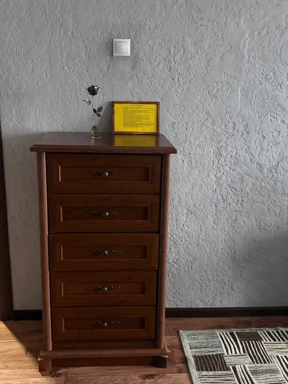 Уютная 1-комнатная квартира в центре города