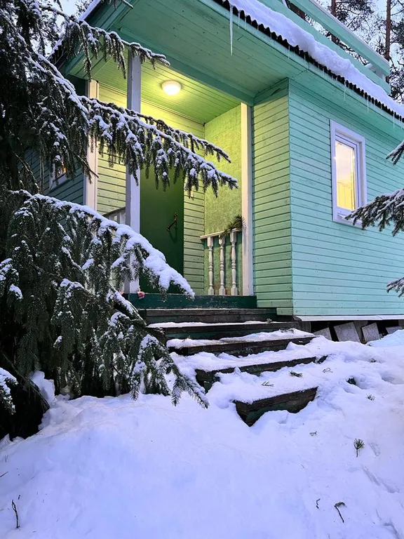 Лесная сказка на берегу Ладоги