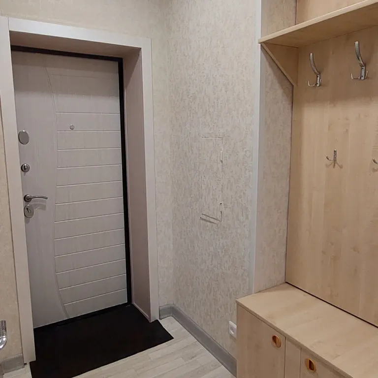 Уютная однокомнатная квартира со всеми удобствами