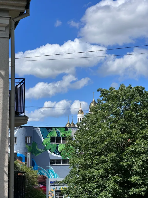 Квартира Уютная квартира в центре города — Калининград