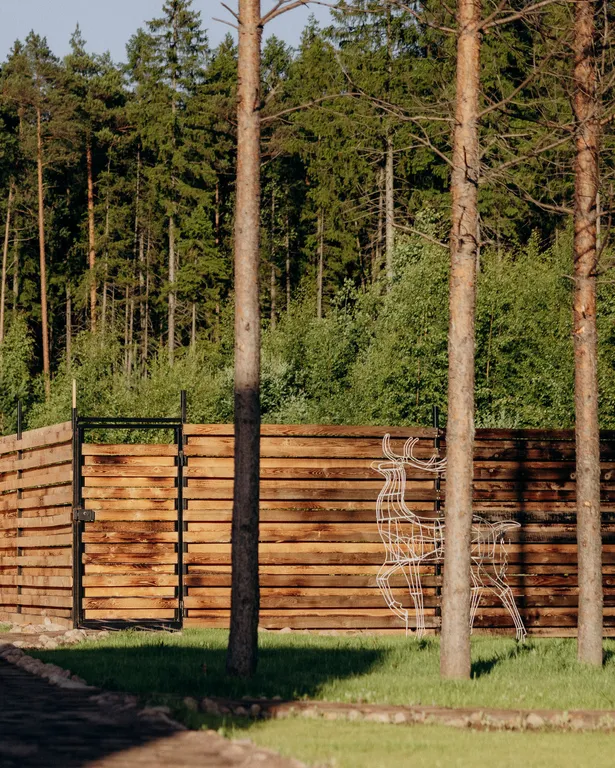 Гостевые дома Infinity Forest Карелия