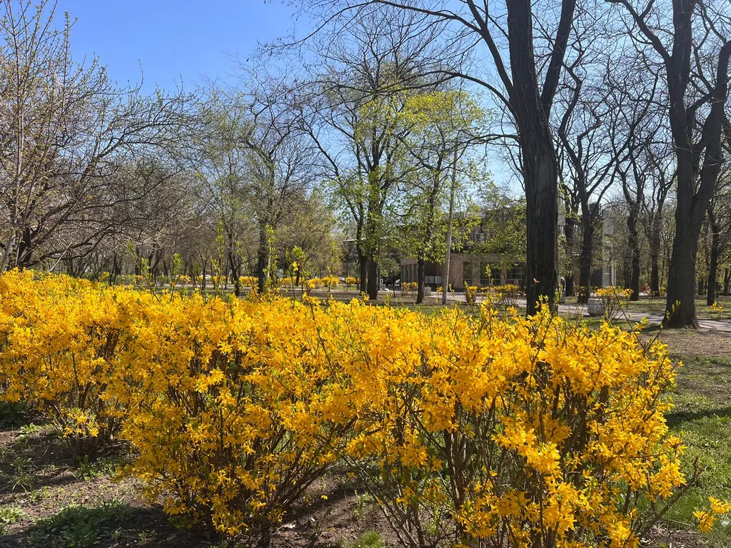 Апартаменты люкс с двумя спальнями