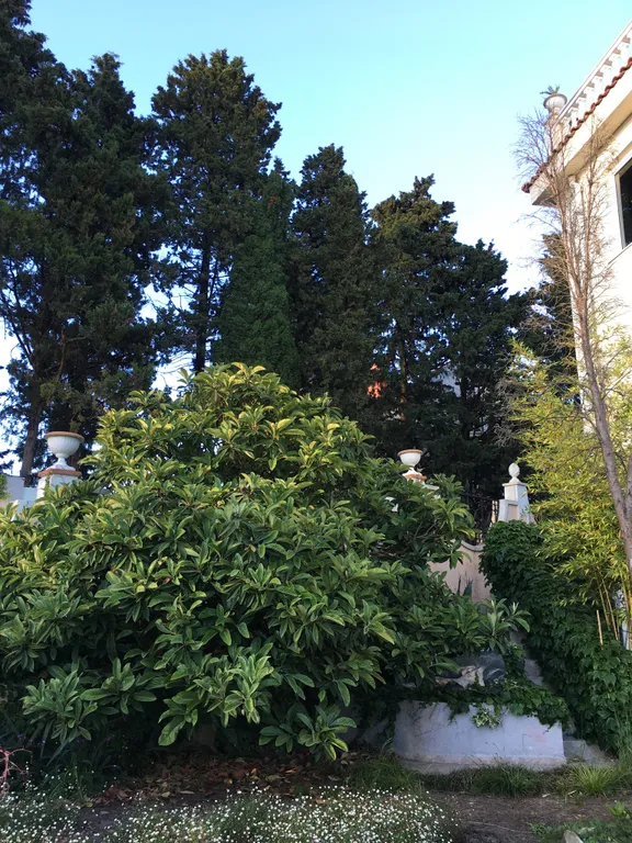 Дом в Сочи с видом на море