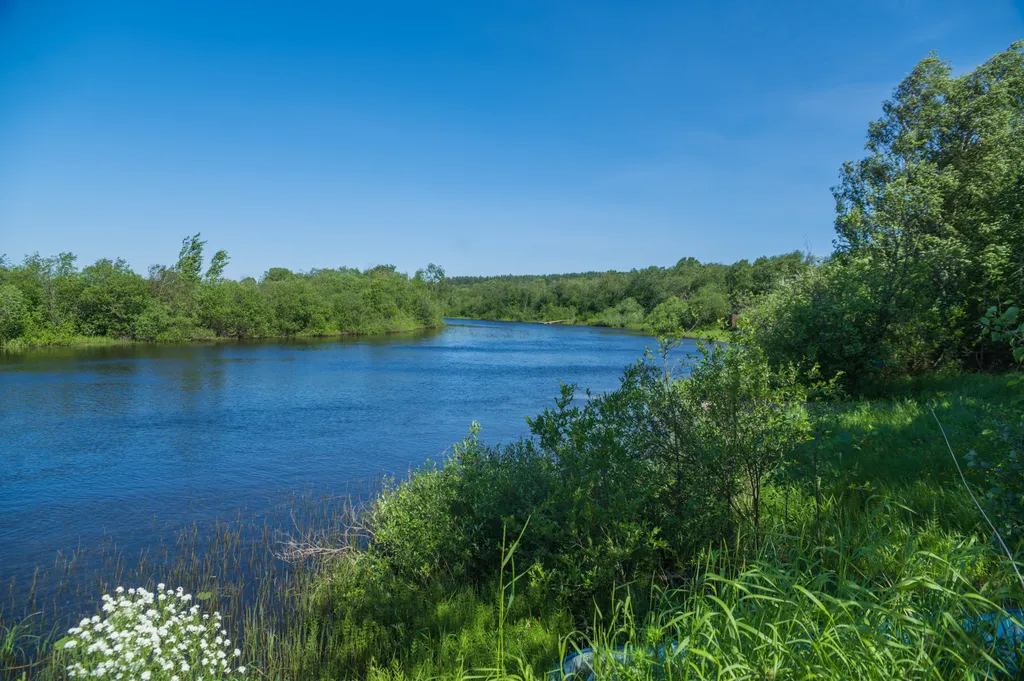 Коттедж Уютный дом с баней у реки — Верховье