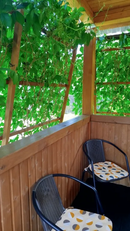 Домик в горах Алтая