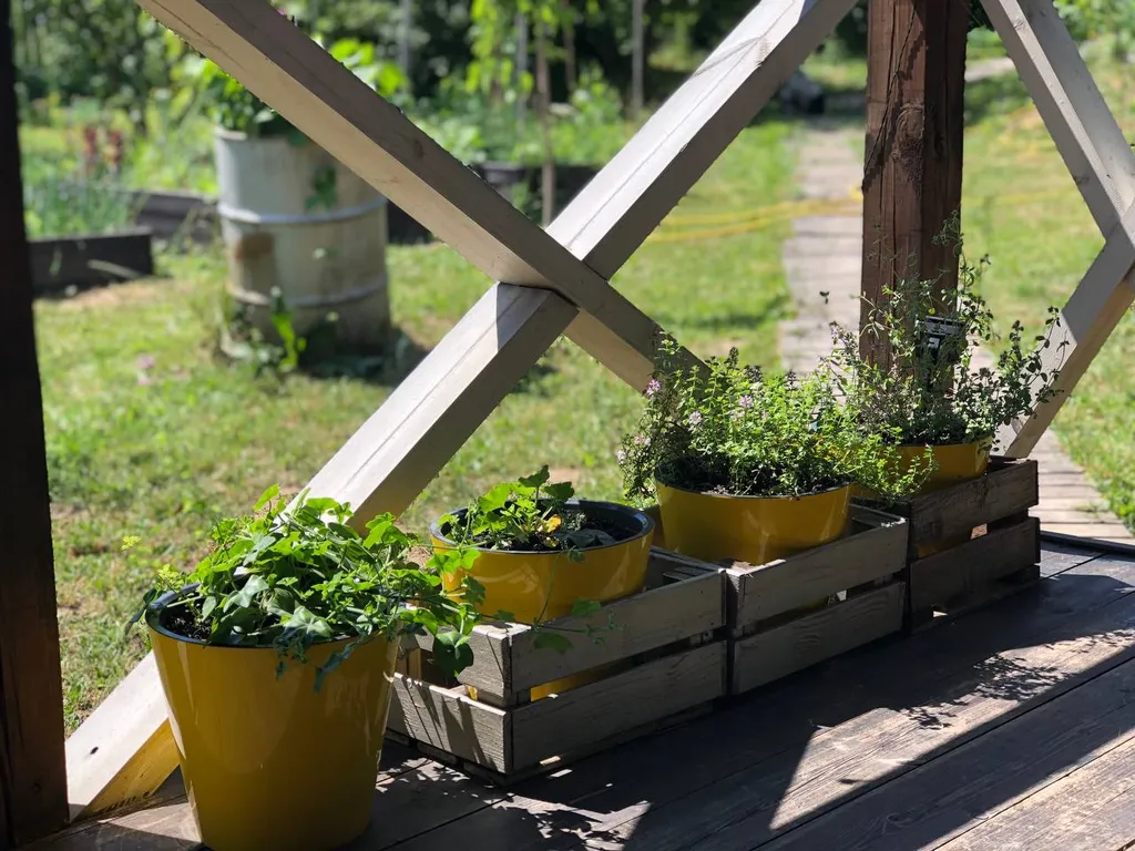 1-комнатный Дом