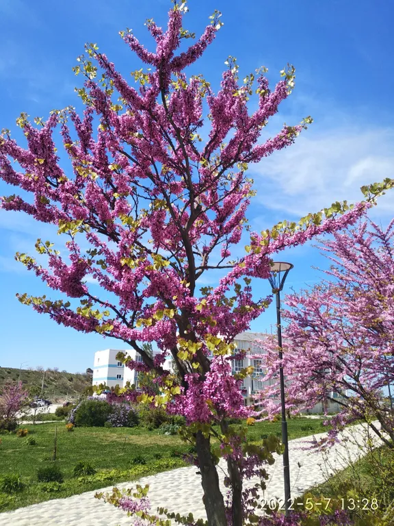 Квартира Квартира Адмиральская лагуна с видом на море — Севастополь